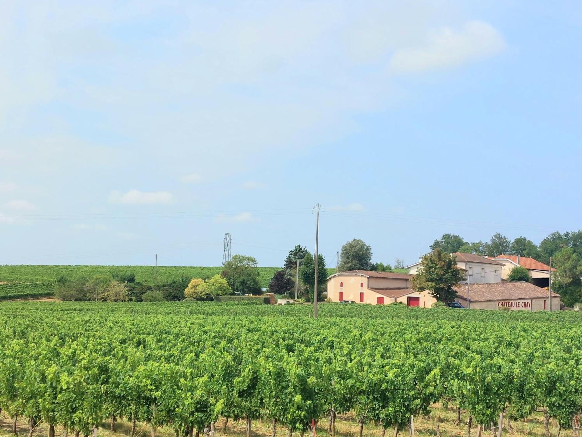 Апартаменты Duplex Cocoon - 10 Min De Blaye - 20 Min Cnpe - Wifi - Tv Hd Saint-Seurin-de-Cursac Экстерьер фото